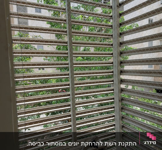 התקנת רשת להרחקת יונים במסתור כביסה.